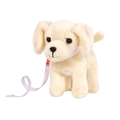 Golden Retriever Pup