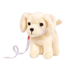 Golden Retriever Pup