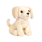 Golden Retriever Pup