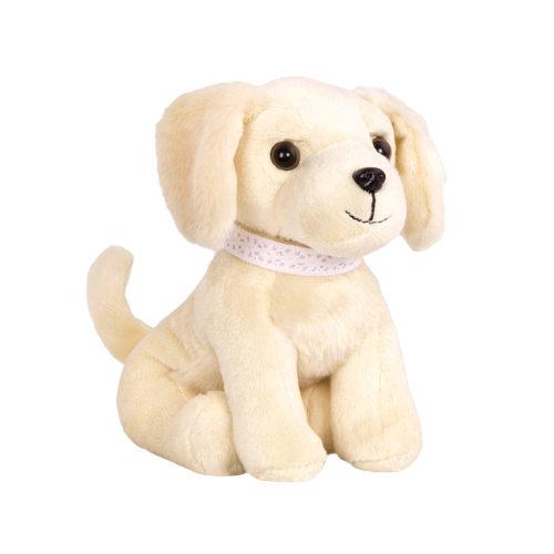 Golden Retriever Pup