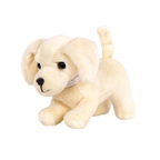 Golden Retriever Pup
