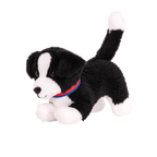 Border Collie Pup