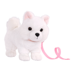 American Eskimo Pup