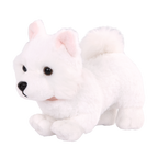 American Eskimo Pup