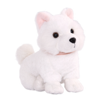 American Eskimo Pup