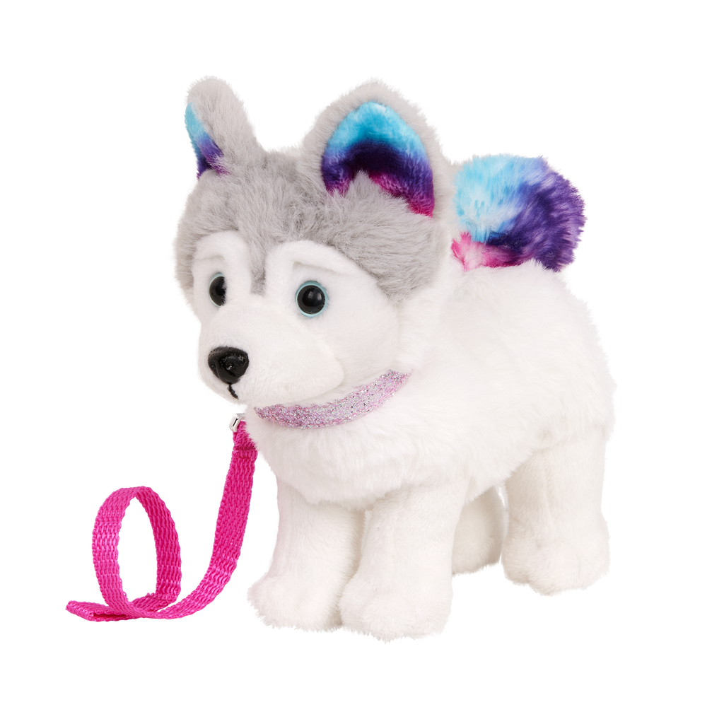 Siberian Husky