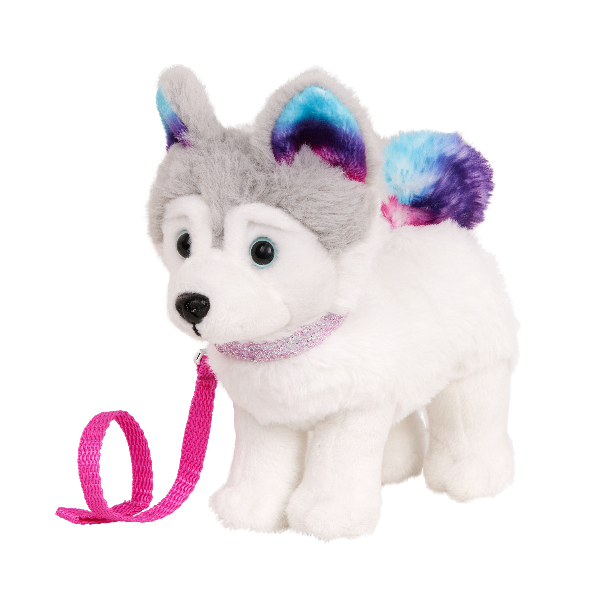 Siberian Husky