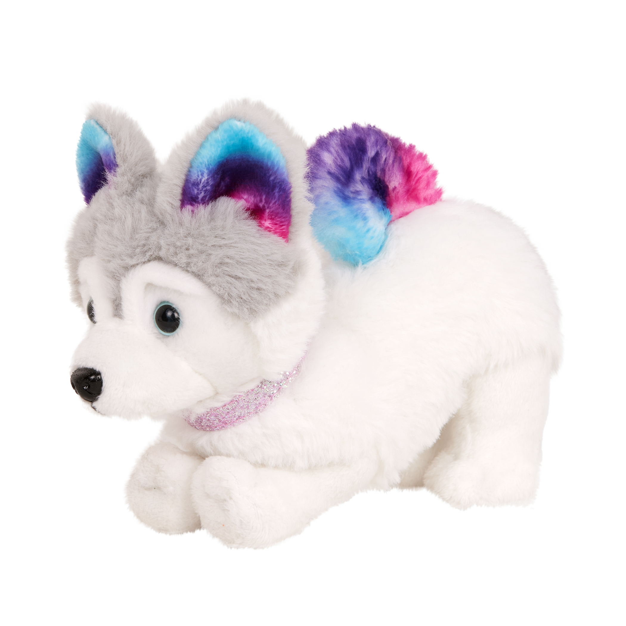 Siberian Husky