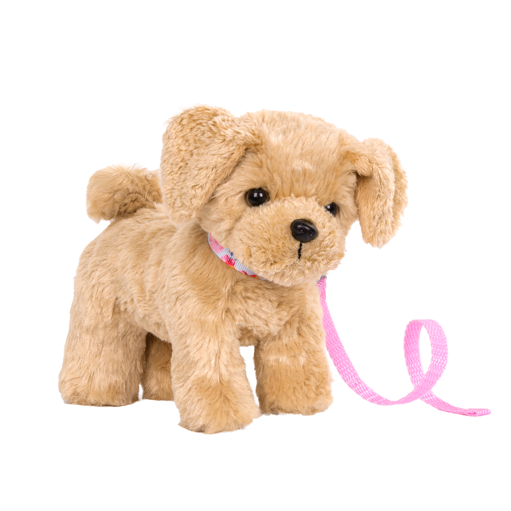 Goldendoodle Pup