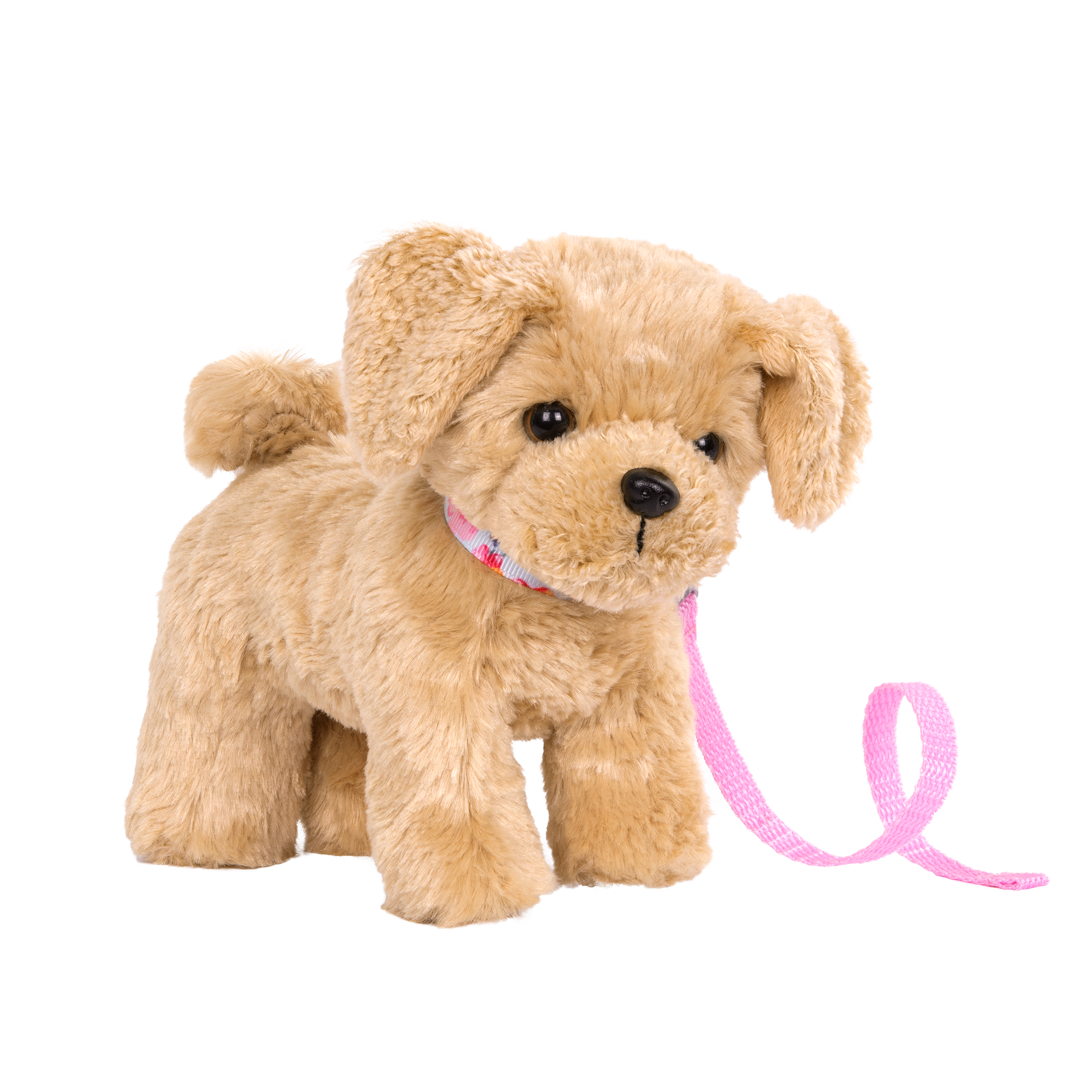 Goldendoodle Pup