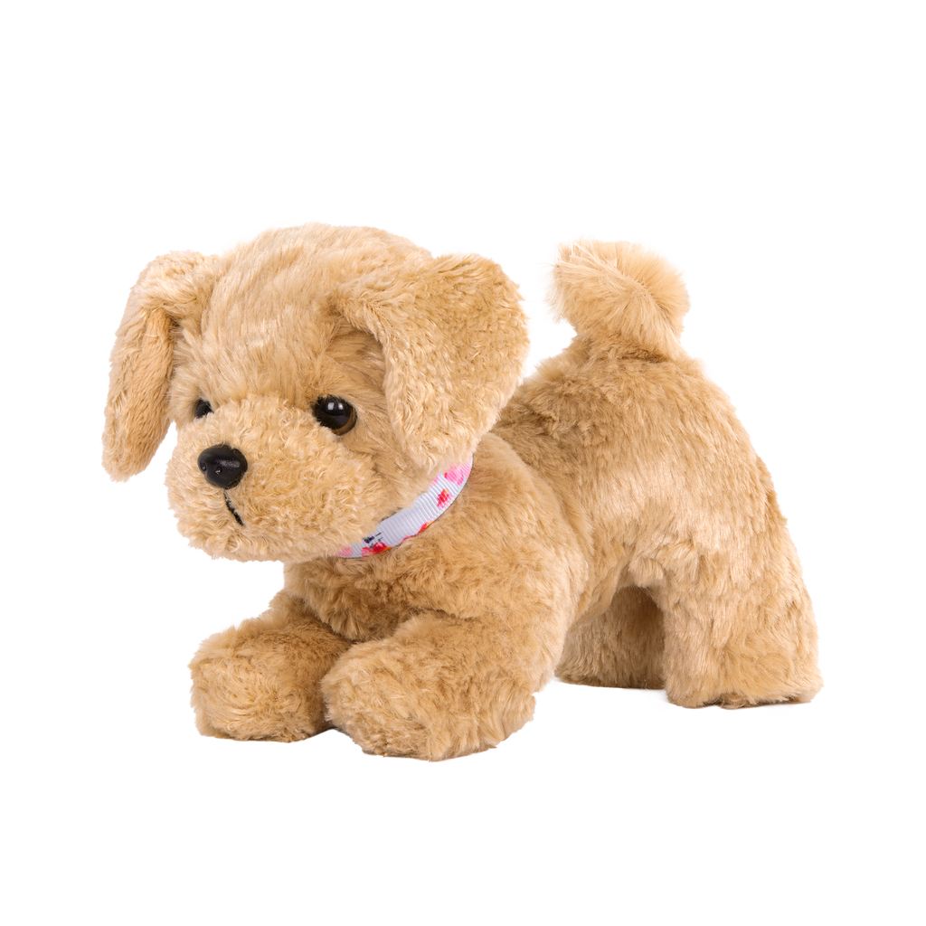 Goldendoodle Pup