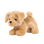 Goldendoodle Pup