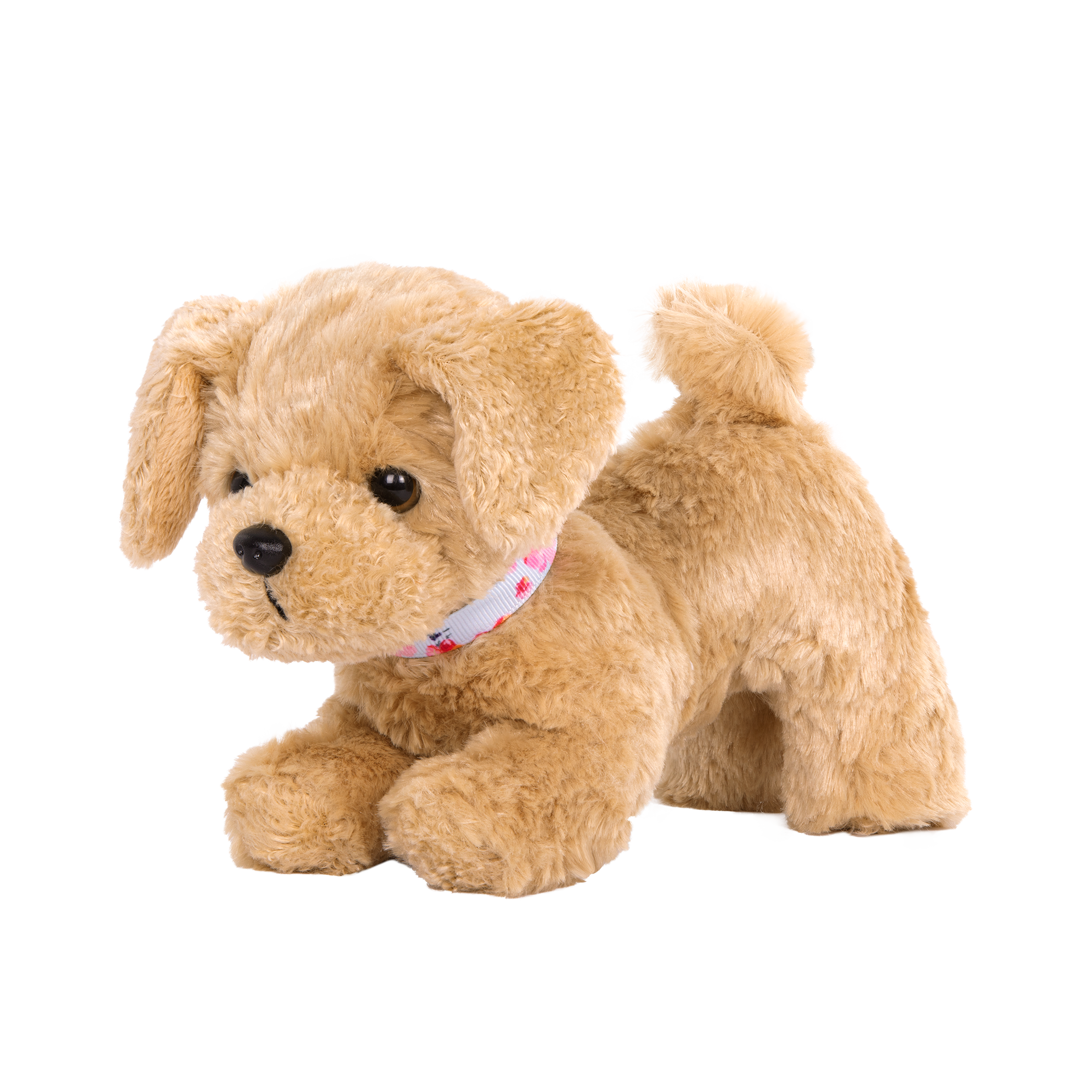 Goldendoodle Pup