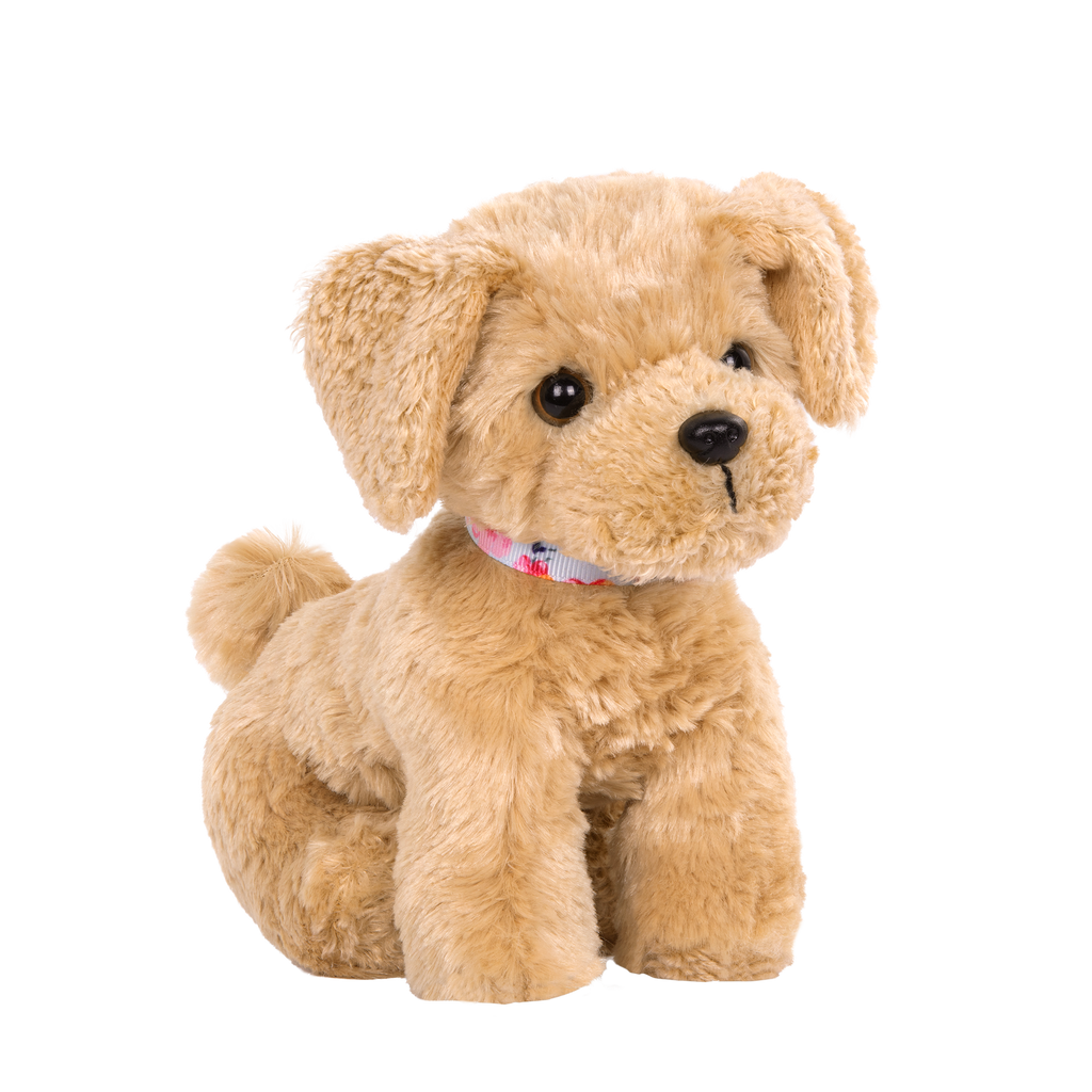 Goldendoodle Pup