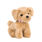 Goldendoodle Pup