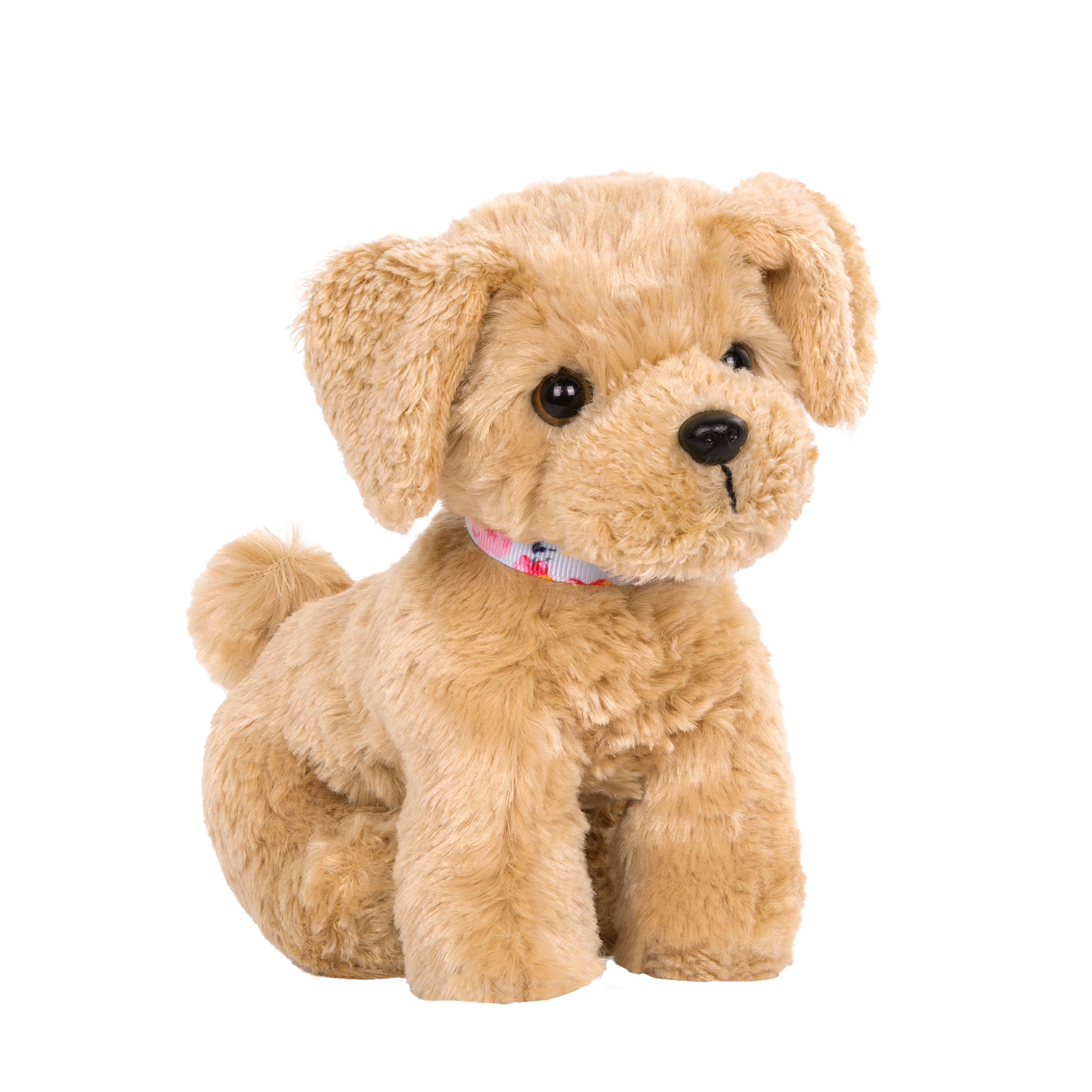 Goldendoodle Pup